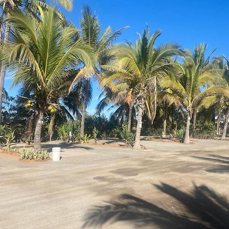 סן פטריסיו מלקווה Bungalows Laguna Del Tule מראה חיצוני תמונה