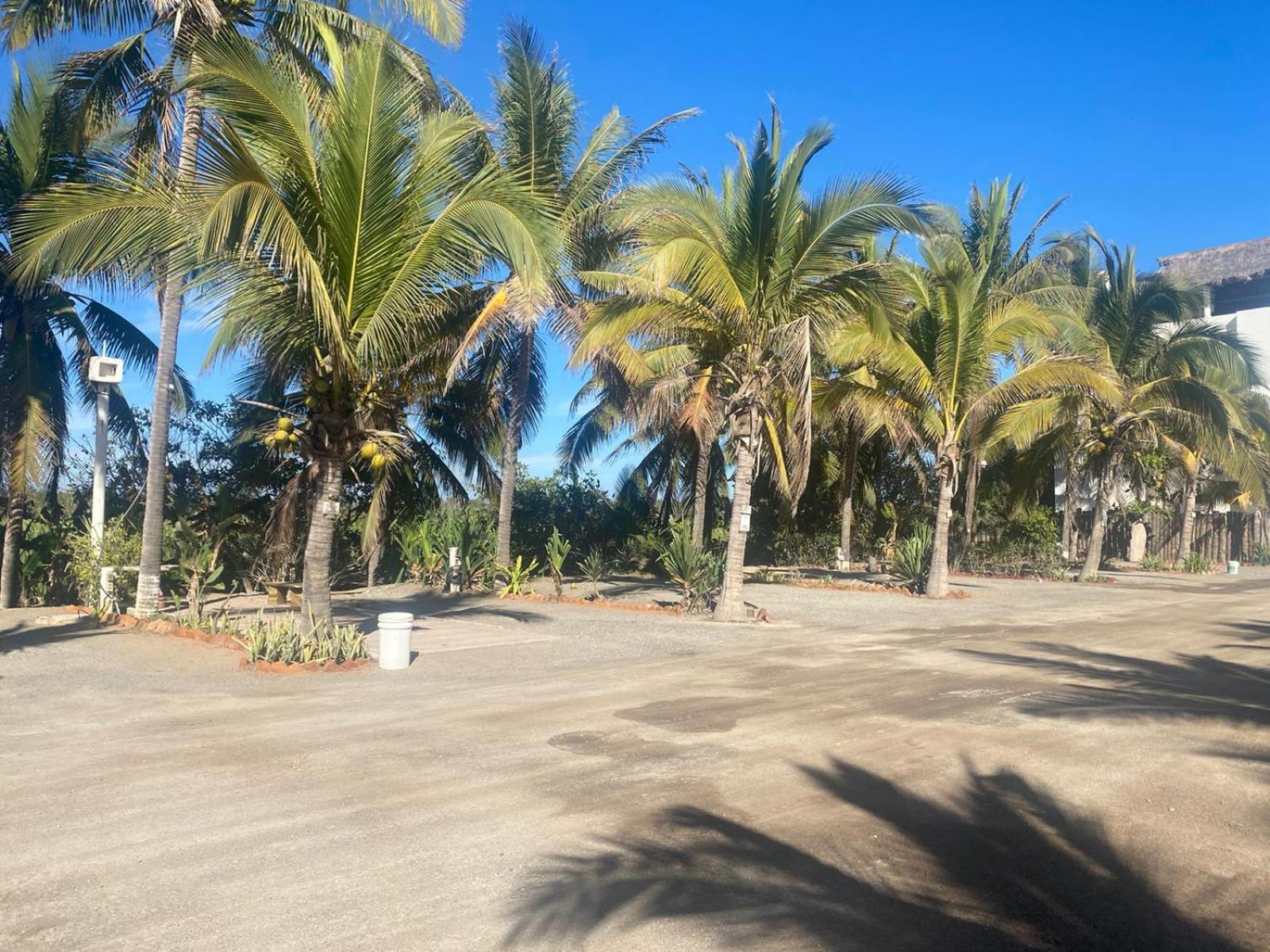 סן פטריסיו מלקווה Bungalows Laguna Del Tule מראה חיצוני תמונה